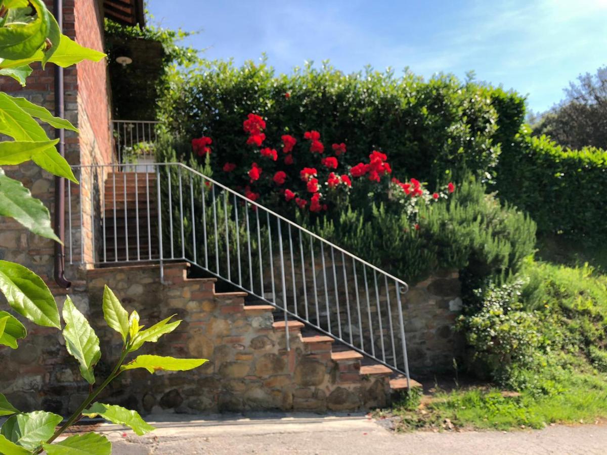 Villa Chille Capannori Exterior foto